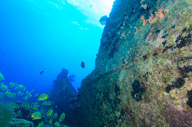 Shipwreck stock photo