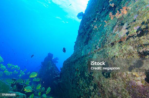 Shipwreck Stock Photo - Download Image Now - Shipwreck, Florida Keys, Underwater Diving