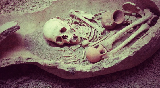 Human skull in antique grave for mobilestock