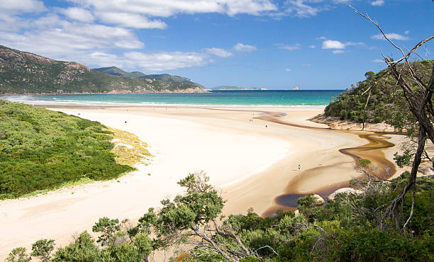 wilsons promontory - costa victoria - fotografias e filmes do acervo