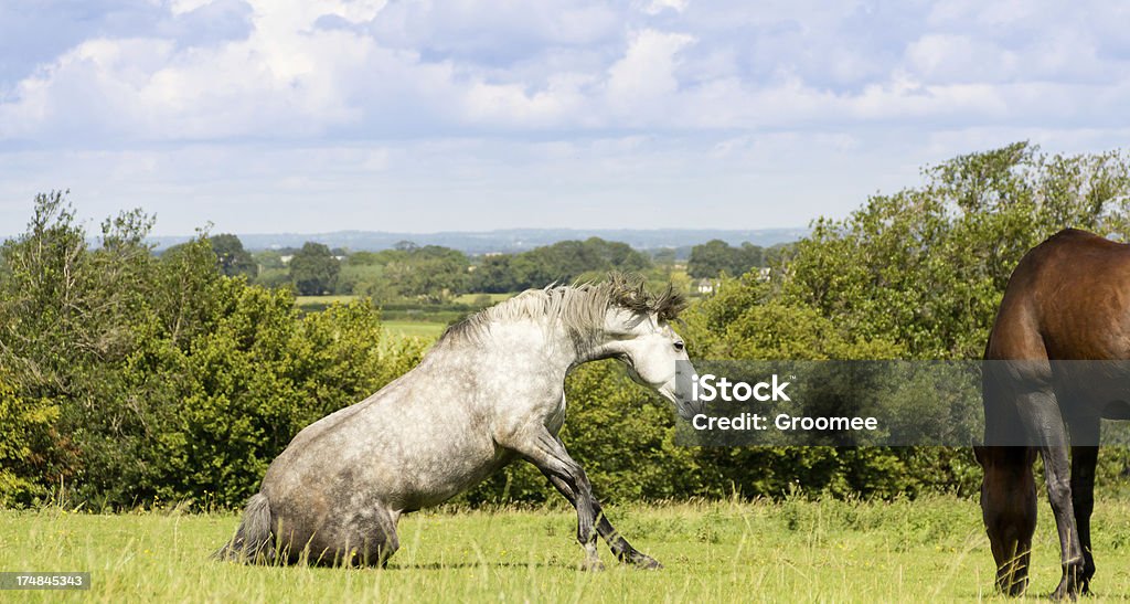 Participez et brillez ! - Photo de Angleterre libre de droits