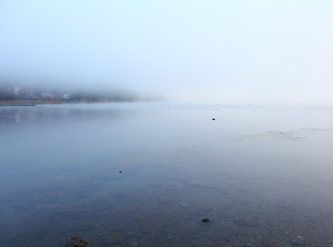 Nebel am See