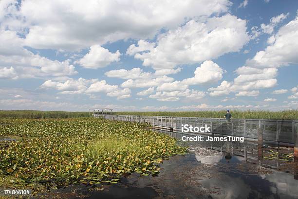 Marsh Paseo En Parque Nacional Point Pelee Foto de stock y más banco de imágenes de Actividad al aire libre - Actividad al aire libre, Actividades recreativas, Aire libre