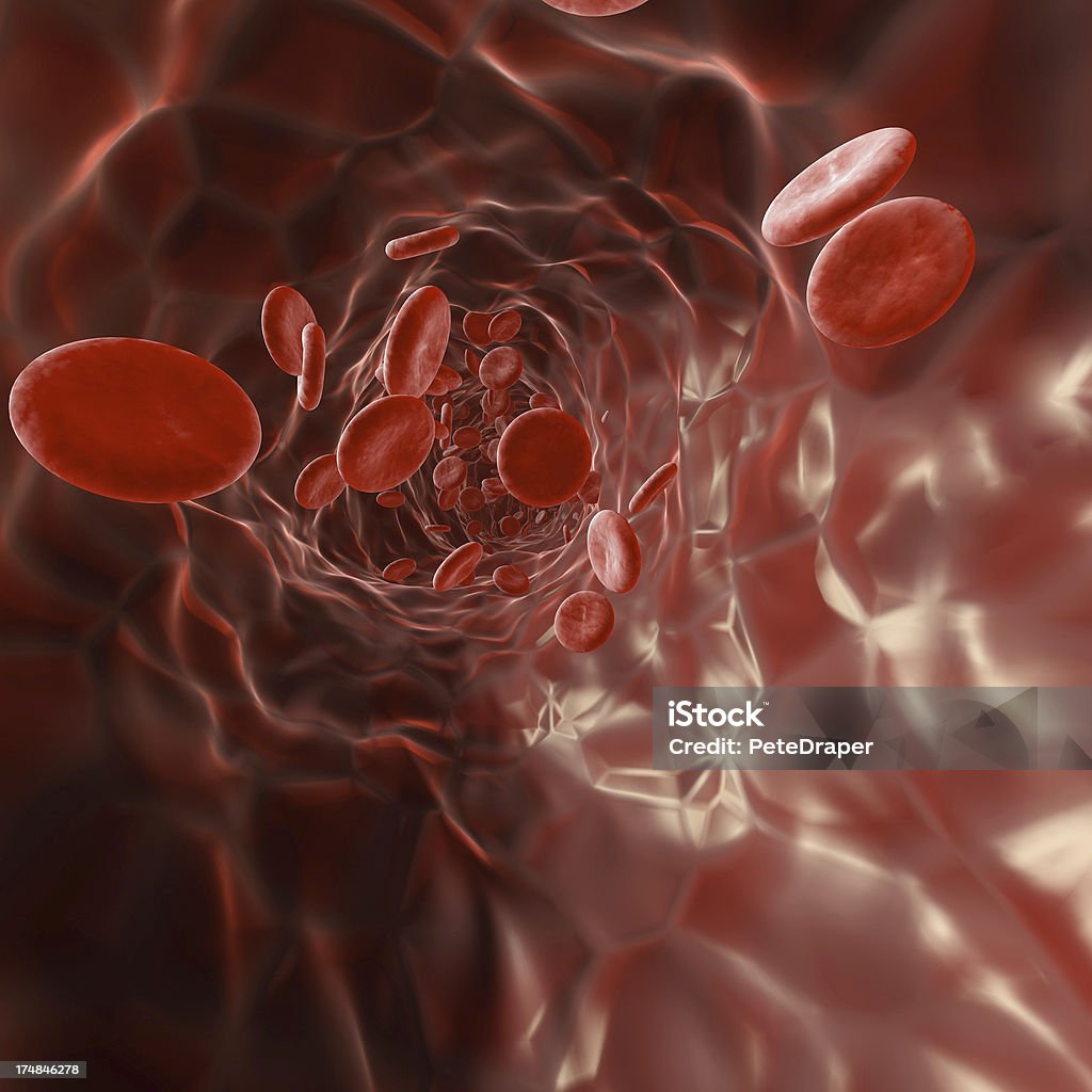 Rote Blutkörperchen in eine Vene - Lizenzfrei Anatomie Stock-Foto