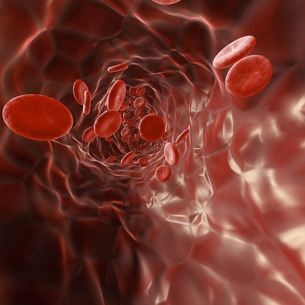 istock Red Blood Cells within a vein 174846278