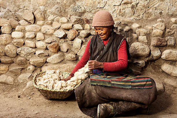 Tibetan woman combing wool "Mustang region is the former Kingdom of Lo and now part of Nepal,  in the north-central part of that country, bordering the People's Republic of China on the Tibetan plateau between the Nepalese provinces of Dolpo and Manang. The Kingdom of Lo, the traditional Mustang region, and aUpper Mustangai are one and the same, comprising the northern two-thirds of the present-day Nepalese Mustang District, and are well marked by official aMustangai border signs just north of Kagbeni where a police post checks permits for non-Nepalese seeking to enter the region, and at Gyu La (pass) east of Kagbeni." nepal photos stock pictures, royalty-free photos & images