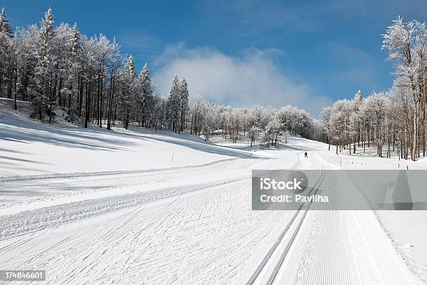 크로스 컨트리 스키 인 Vojsko 슬로베니아 유럽 겨울에 대한 스톡 사진 및 기타 이미지 - 겨울, 겨울 스포츠, 고원