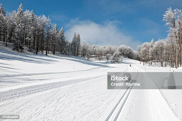 Crosscountry Esqui Em Vojsko Eslovénia Europa - Fotografias de stock e mais imagens de Adulto - Adulto, Alpes Europeus, Alpes de Julian