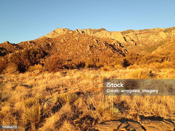 Mobilestock 풍경 해질녘까지 0명에 대한 스톡 사진 및 기타 이미지 - 0명, 갈색, 경관