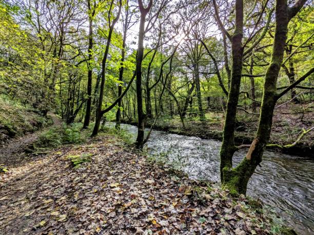 istock Walking along Bradshaw Brook, just above Jumbles Reservoir. 1748475570