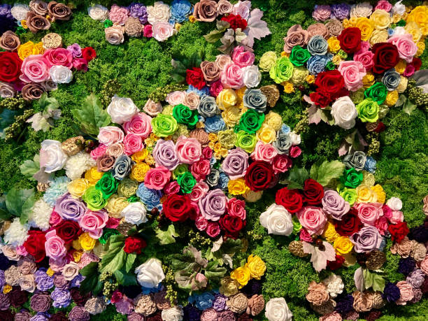 istock Colorful rose wallpaper made from artificial flowers 1748476301