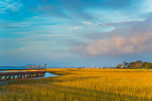 Marina at Shem Creek, Charleston stock photo