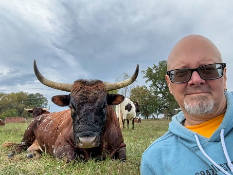 A selfie of bald man with a grey beard and glasses lying in a pasture close to a Pineywoods bull with large horns on a regenerative farm in North Carolina, USA. Farm. Trusting
