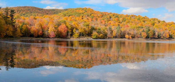 istock autumn landscapes near a lake 1748484352