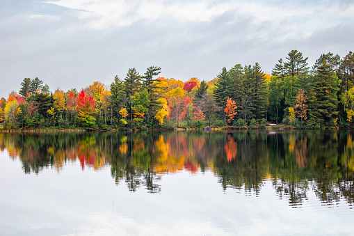 Colorful autumn trees on lake of the Falls in Mercer, Wisconsin, horizontal
