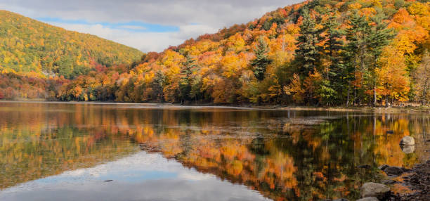 istock autumn landscapes near a lake 1748484845