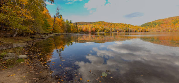 istock autumn landscapes near a lake 1748484938