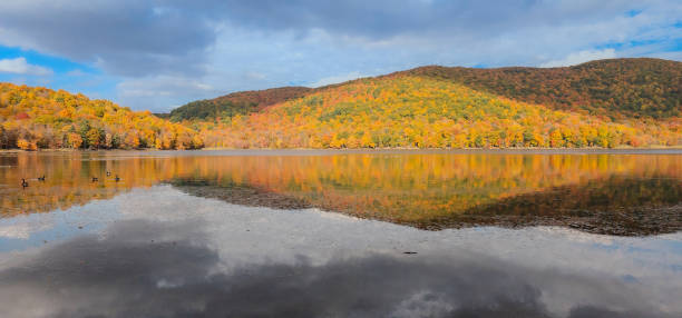 istock autumn landscapes near a lake 1748485531