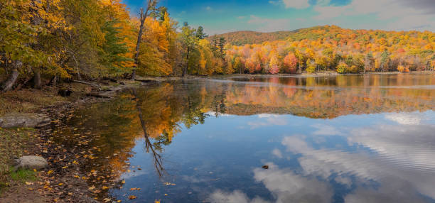 istock autumn landscapes near a lake 1748485768