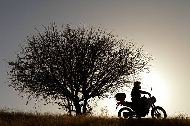 istock Rider silhouetted by sun during sunset. 174848972