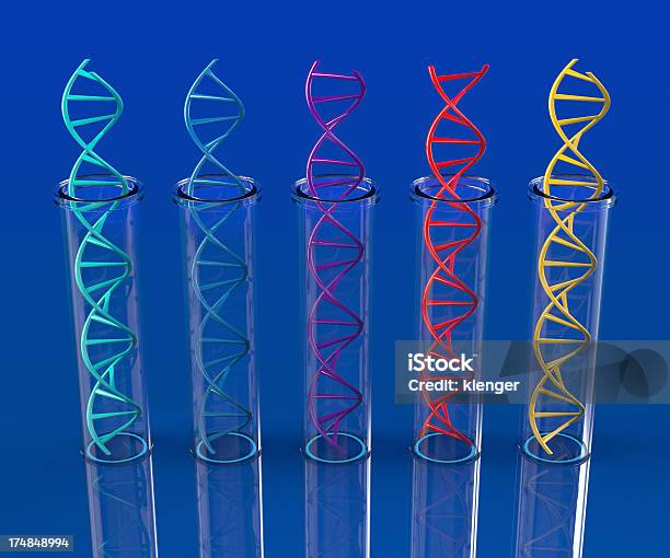 Тест На Днк В Пробирку — стоковые фотографии и другие картинки Анализ ДНК - Анализ ДНК, Без людей, Биология