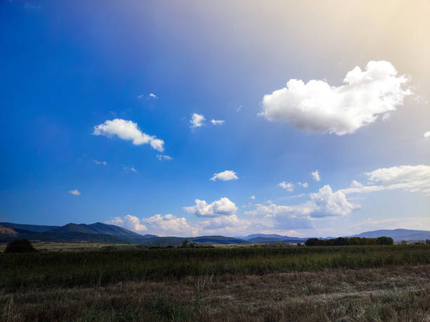 summer sky - cloud olive green green ridge 뉴스 사진 이미지