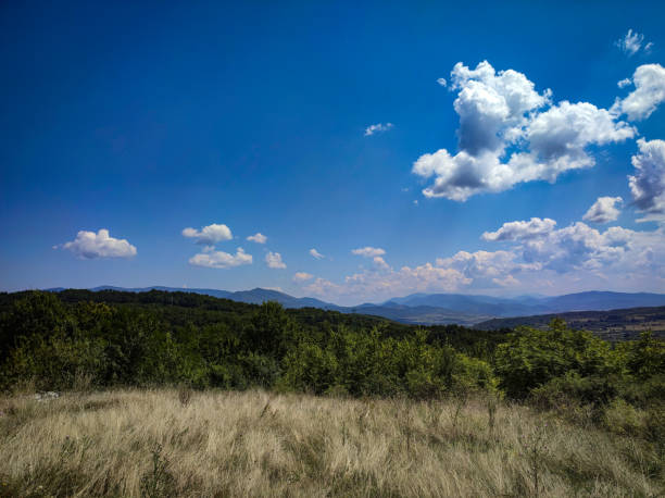 summer sky - cloud olive green green ridge 뉴스 사진 이미지