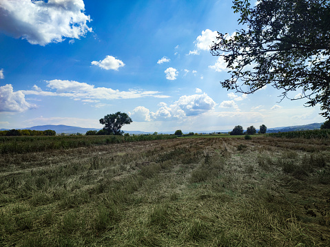 A typical tuscan landscape w old deserted farmhuse in background. Southern Tuscany - Winter 2014