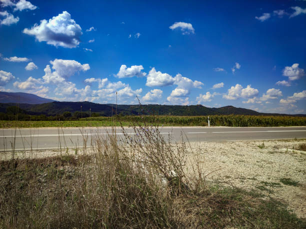 summer sky - cloud olive green green ridge 뉴스 사진 이미지