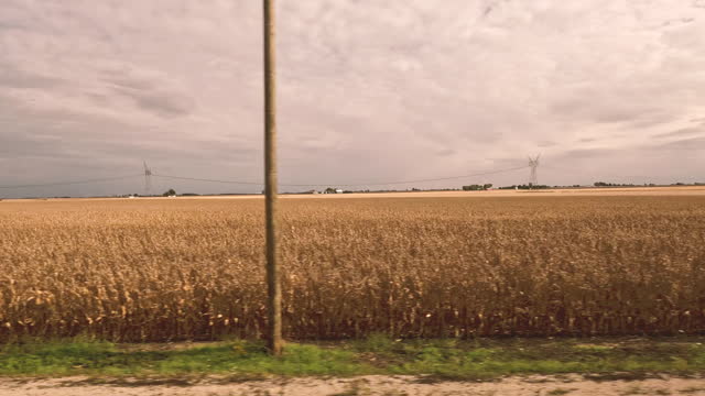 Traveling by Train Through the Countryside