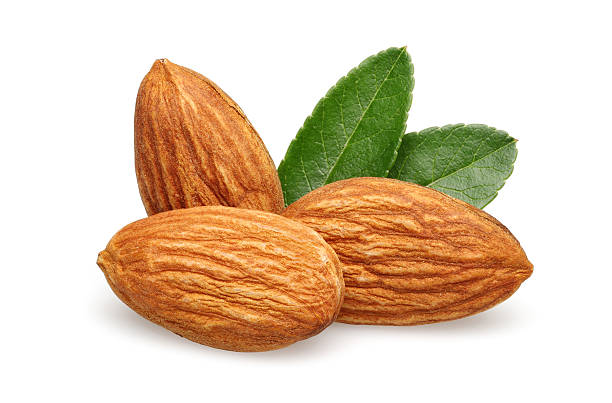 Three Almond stock photo