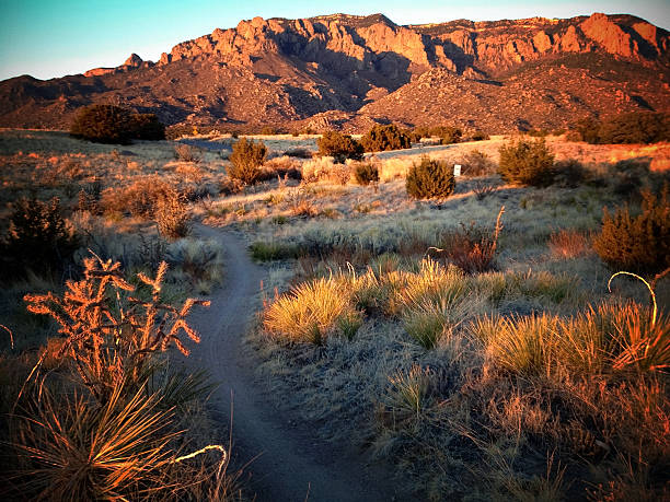 istock mobilestock southwest sunset landscape 174850029