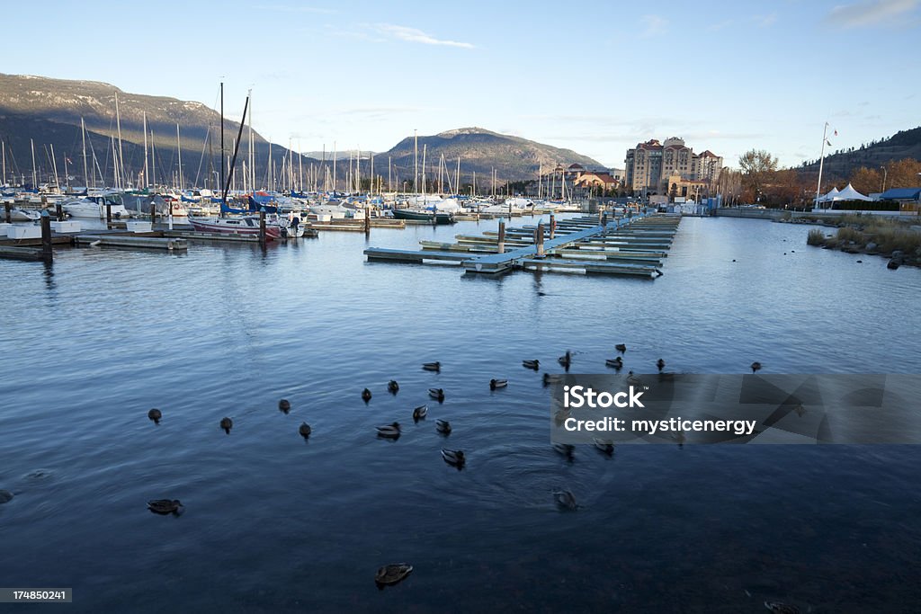 Kelowna - Foto de stock de Kelowna royalty-free