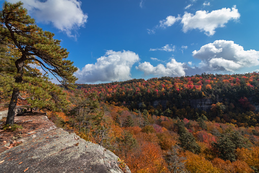 Enjoy brisk fresh air of autumn in beautiful healthy environment for recreation in Upstate New York at Minnewaska State Park.