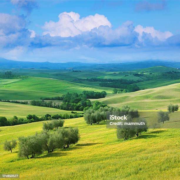 Verdes Colinas De La Toscana Foto de stock y más banco de imágenes de Aire libre - Aire libre, Ajardinado, Azul