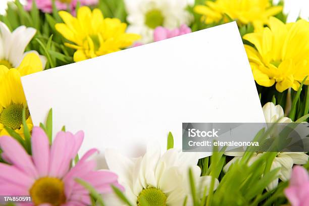 Primavera Di Auguri - Fotografie stock e altre immagini di Bellezza - Bellezza, Bellezza naturale, Bouquet