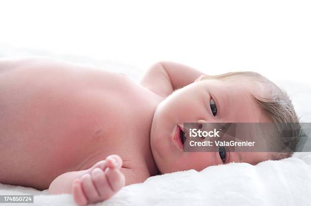 Newborn Baby Olhando Para A Câmara - Fotografias de stock e mais imagens de 0-1 Mês - 0-1 Mês, 0-11 Meses, Aconchegante