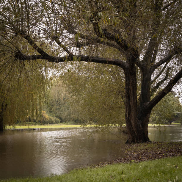 istock Storm Babet Local Flooding - Warwickshire - October 2023 1748510132
