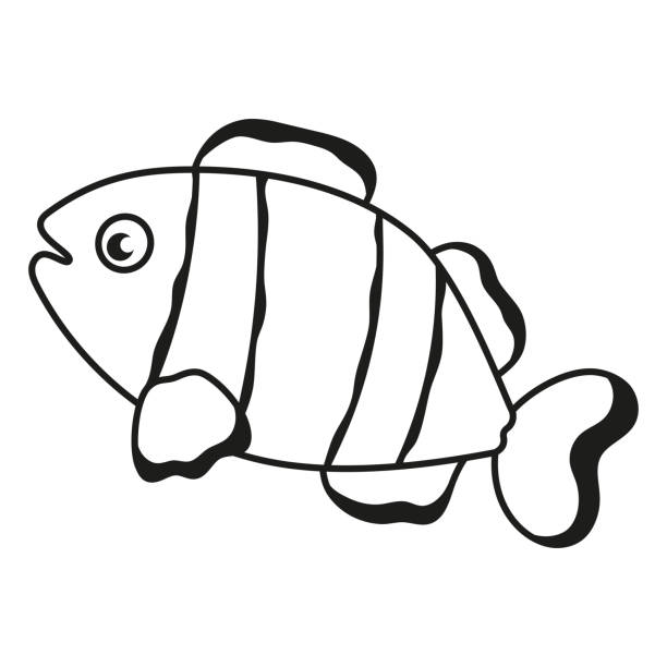 umriss-vektor-illustration des cartoon-clown-fisches - tropical fish clown fish isolated animal stock-grafiken, -clipart, -cartoons und -symbole