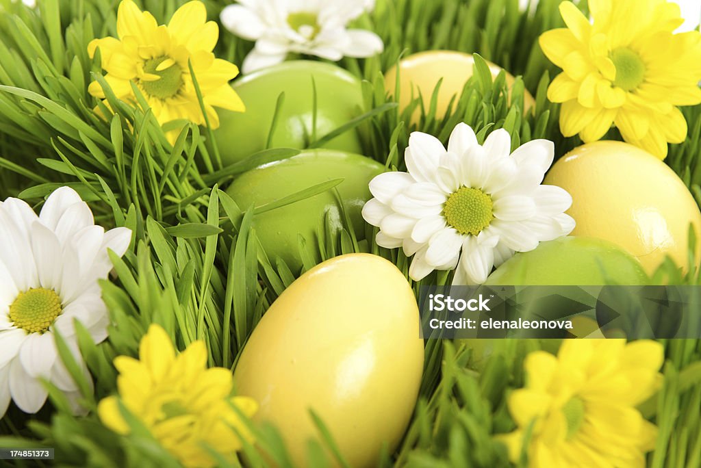 Pasqua - Foto stock royalty-free di Ambientazione esterna