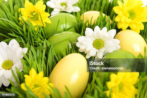 Pasqua - Fotografie stock e altre immagini di Ambientazione esterna - Ambientazione esterna, Bellezza, Bellezza naturale