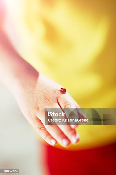 Mariquita De Mano Foto de stock y más banco de imágenes de Agarrar - Agarrar, Aire libre, Antena - Parte del cuerpo animal