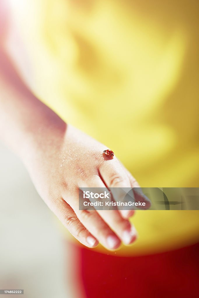 Coccinella su mano - Foto stock royalty-free di Ambientazione esterna