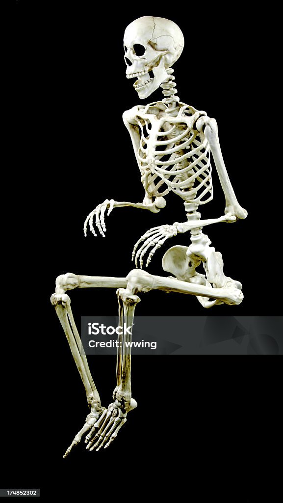Szkielet siedzi na czarny - Zbiór zdjęć royalty-free (Szkielet człowieka)
