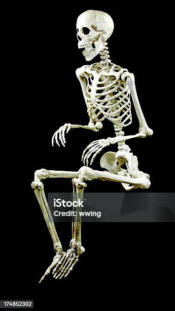 Szkielet Siedzi Na Czarny - zdjęcia stockowe i więcej obrazów Szkielet człowieka - Szkielet człowieka, Siedzieć, Ludzie