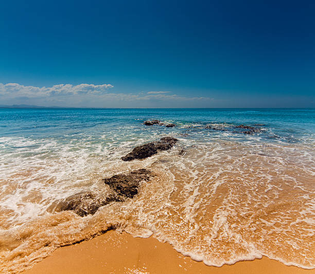 Beach stock photo