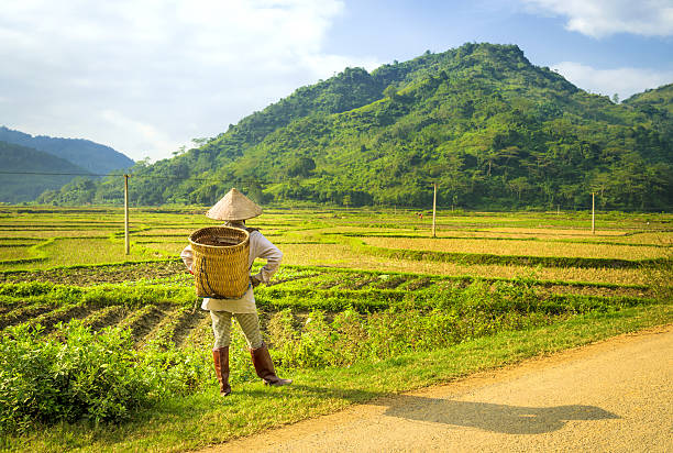 istock farmer woman in Asia 174852690