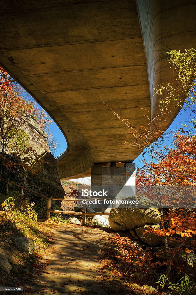 Viadotto Linn Cove, Blue Ridge Parkway, Great Smoky Mountains, Stati Uniti - Foto stock royalty-free di Albero