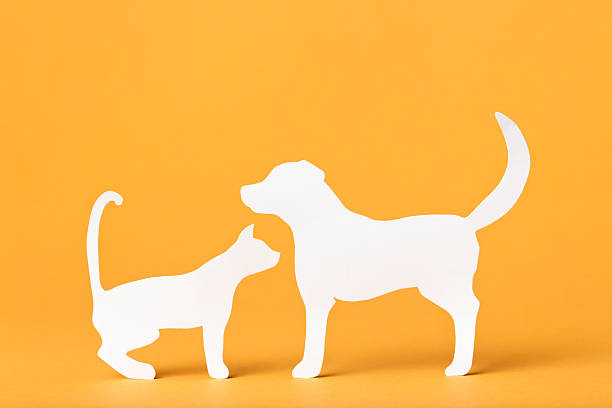 Dog and cat paper concept stock photo