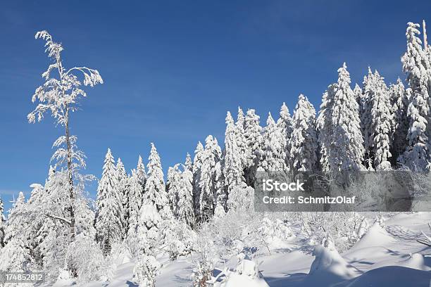 Winterlandschaft In Black Forest Stockfoto und mehr Bilder von Blau - Blau, Fotografie, Frost